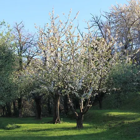 Convento La Perla * קררה